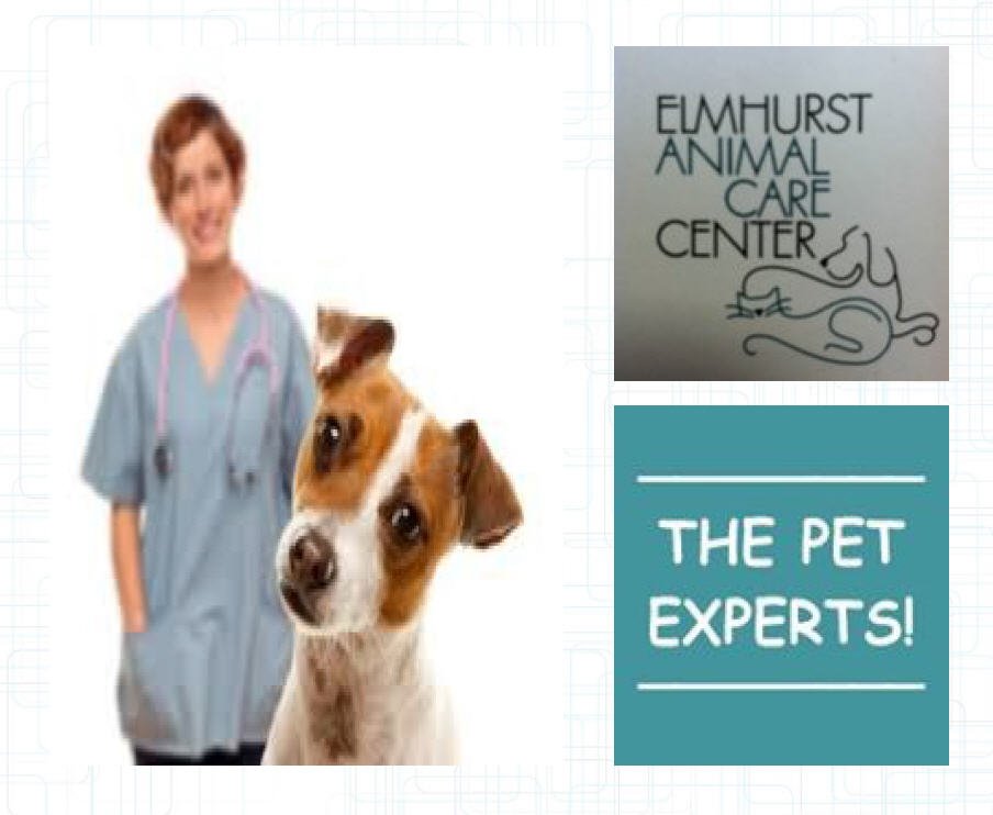 Elmhurst Animal Care Center Elmhurst Animal Care Center