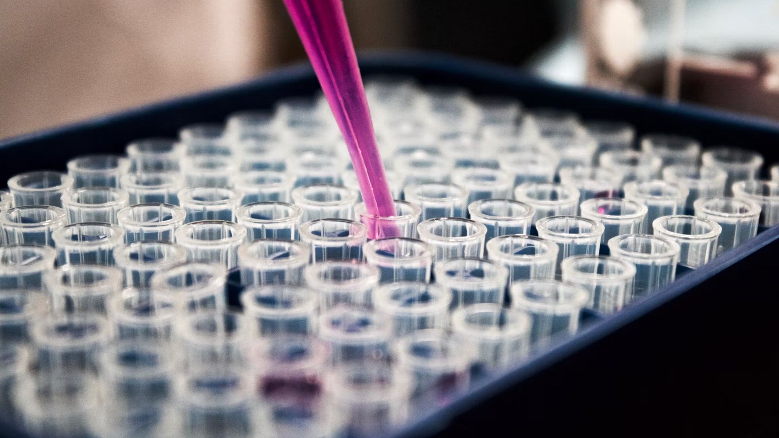 person with test tubes and beakers